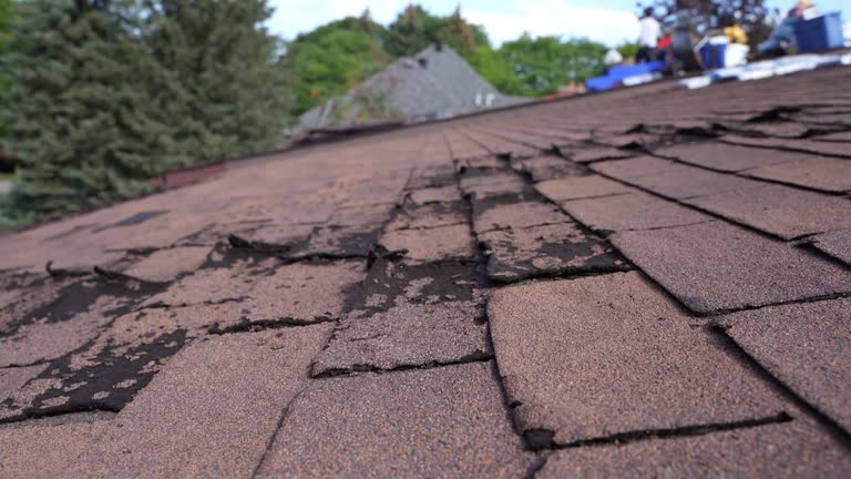 Best Storm Damage Roof Repair  in Evans City, PA